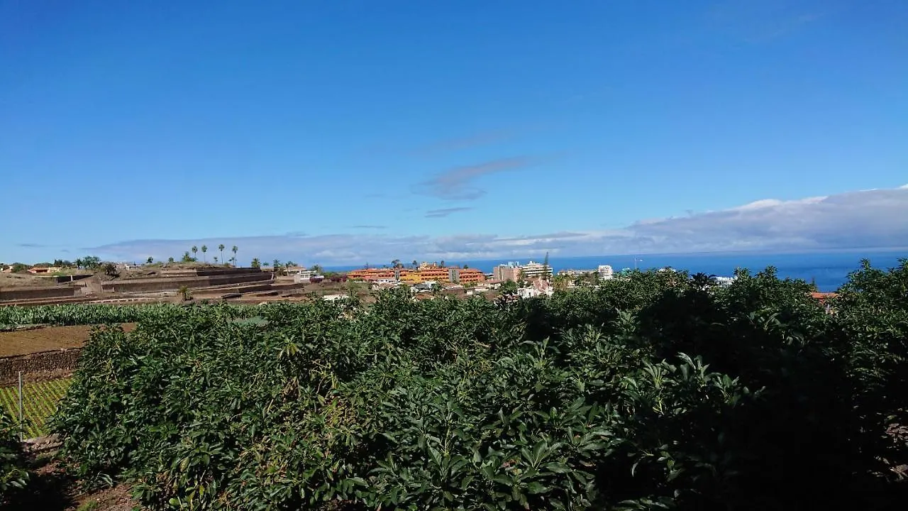 Finca Las Tapias, Casa Mane Puerto de la Cruz  0*, Puerto de la Cruz (Tenerife) İspanya